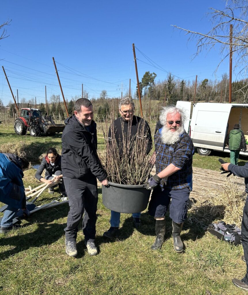 Planting campaign 2025 Sustainability Planting trees 3 people