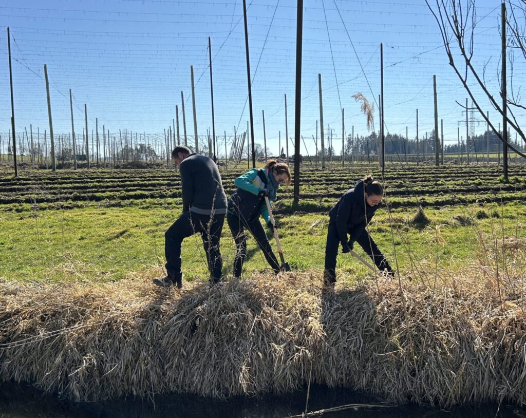 Planting campaign 2025 Planting trees for sustainability