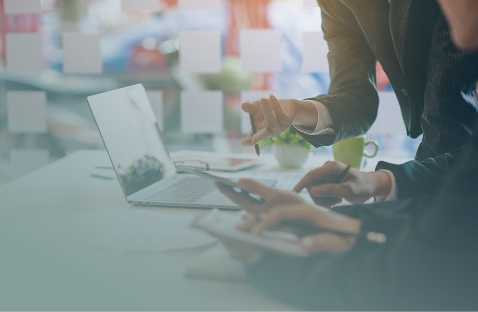 PANTOPIX Consulting As-is analysis Process analysis System analysis Data analysis