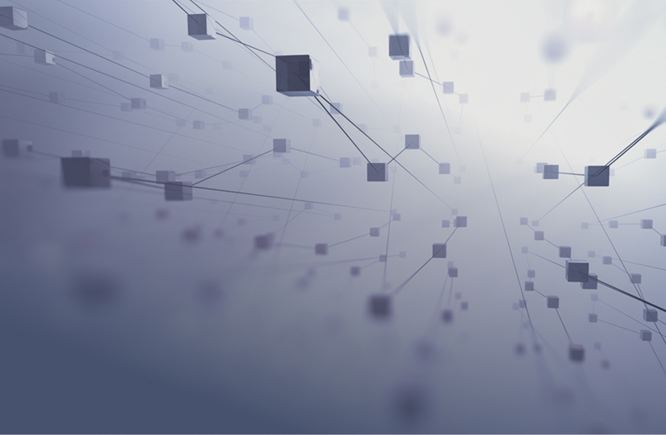 PANTOPIX Implementation System introduction System integration Information systems