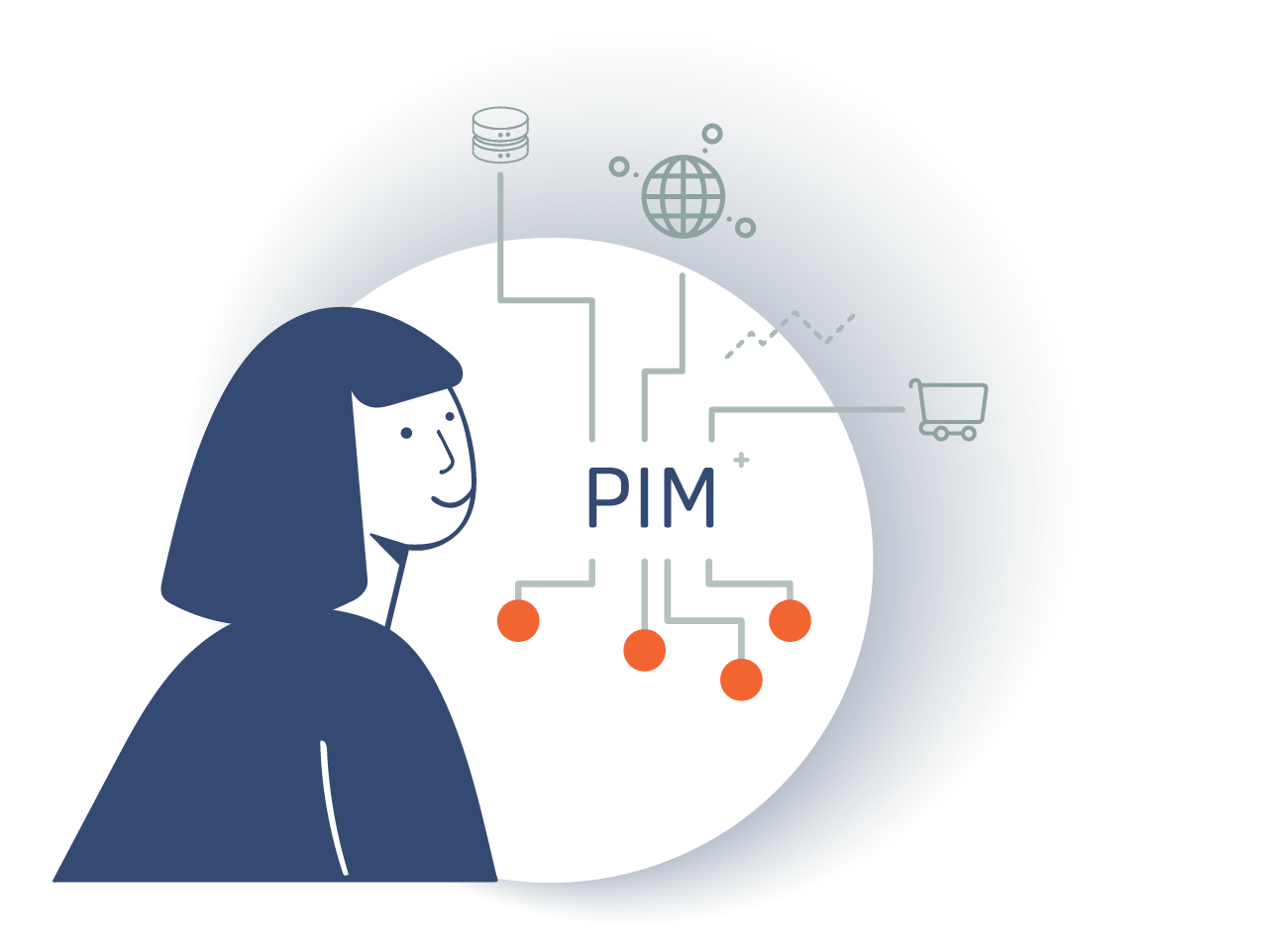 Grafik Vorgehen PIM PANTOPIX