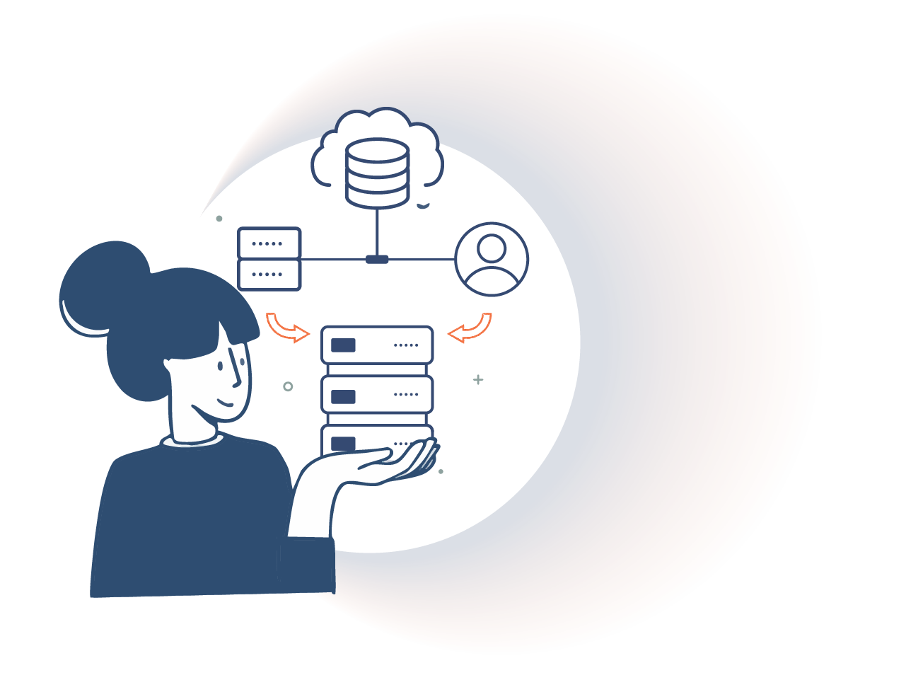 Grafik Vorgehen Systemeinführung PANTOPIX