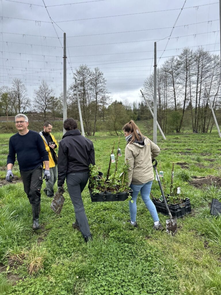 Gemeinsame Pflanzaktion von PANTOPIX