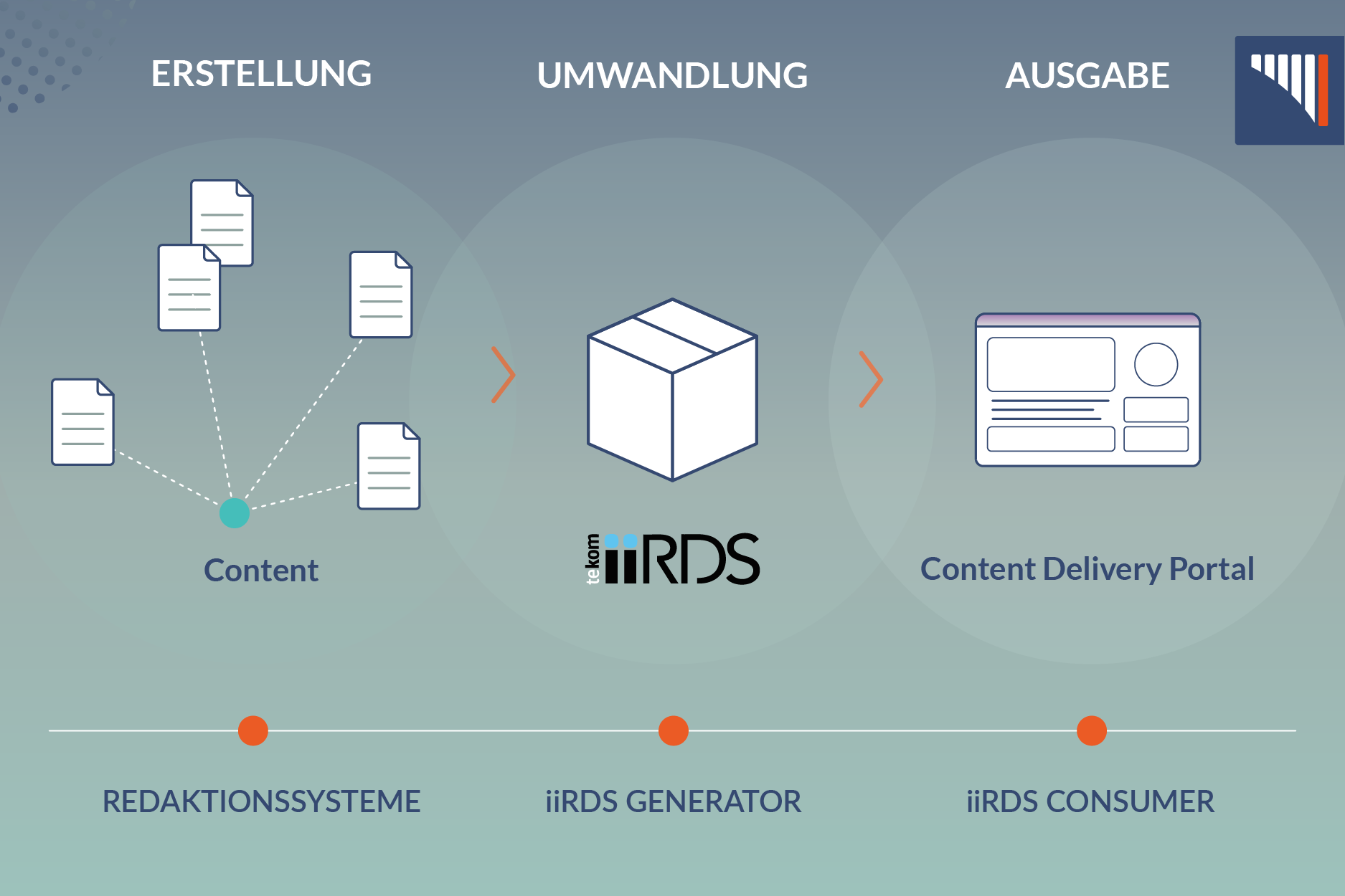 iirds Schema